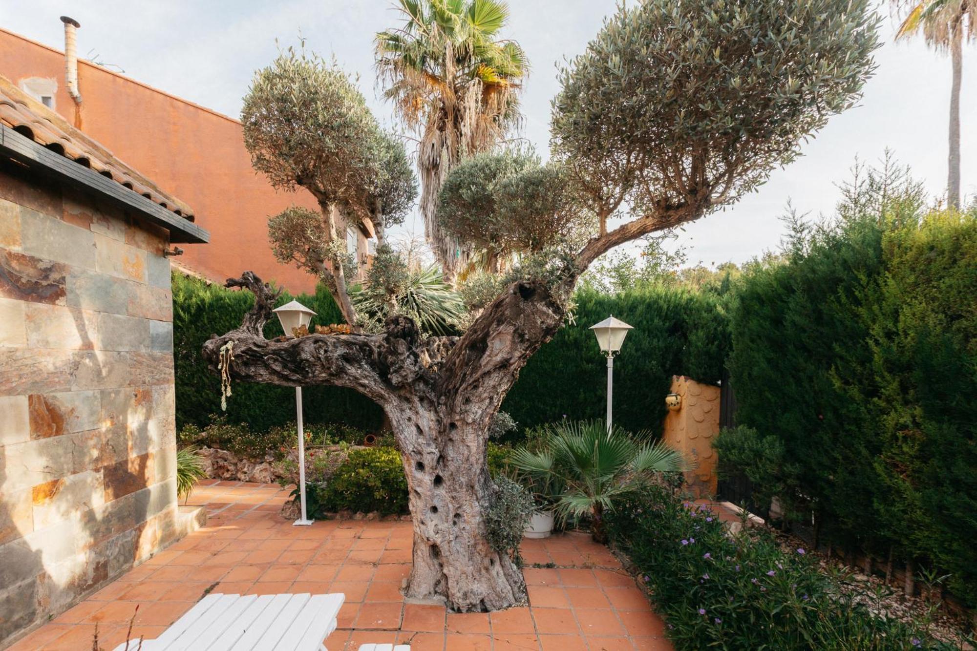 Chalet, Villa Rodeada De Naturaleza Piscina A Doce Klm De Valencia Y 7 Del Aeropuerto מראה חיצוני תמונה